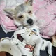 가령