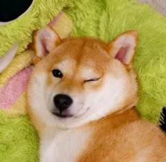 하늘이