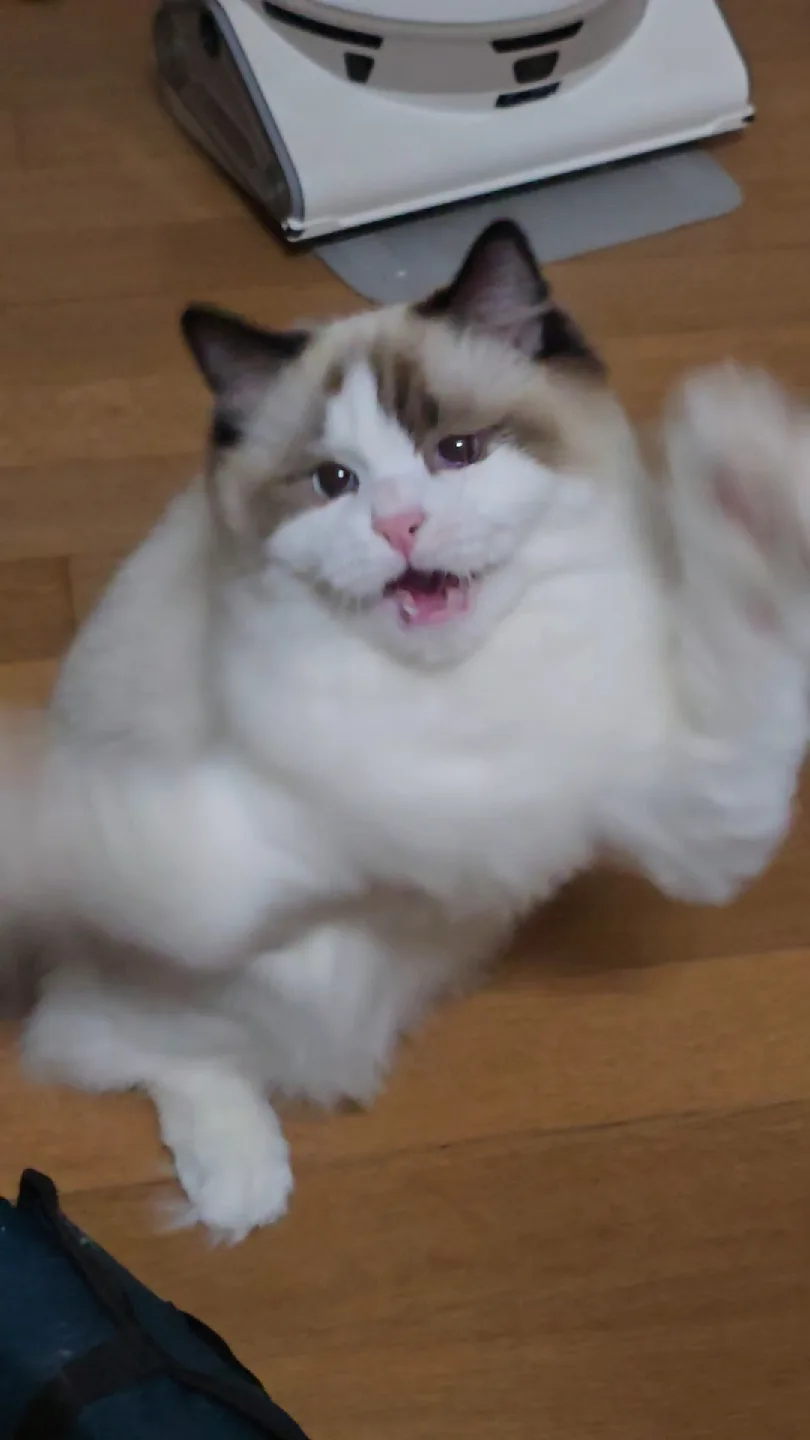 고구마킹
