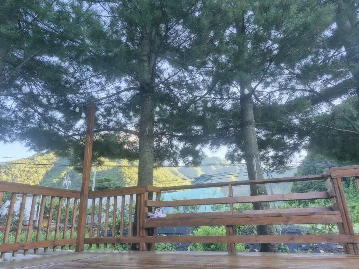 지혜로운뇨자