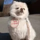 미미옷장