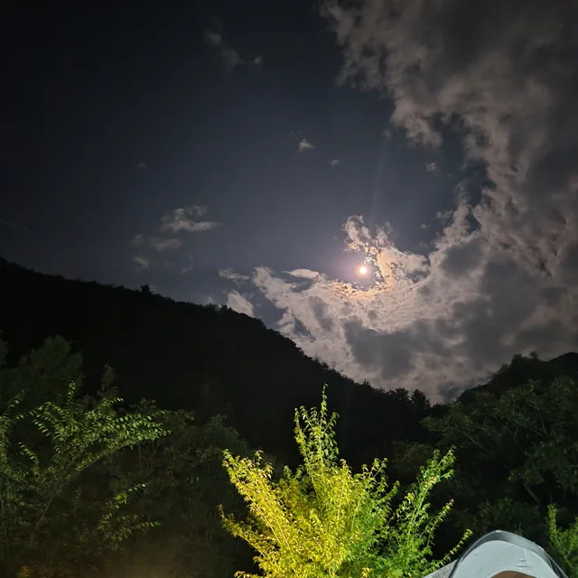 당근을올리자