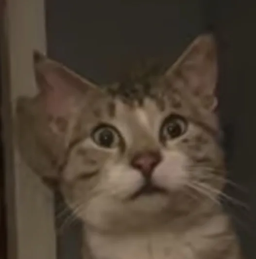 뭉뭉
