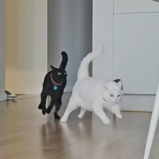 니나브
