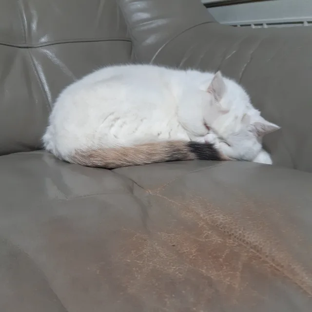남방