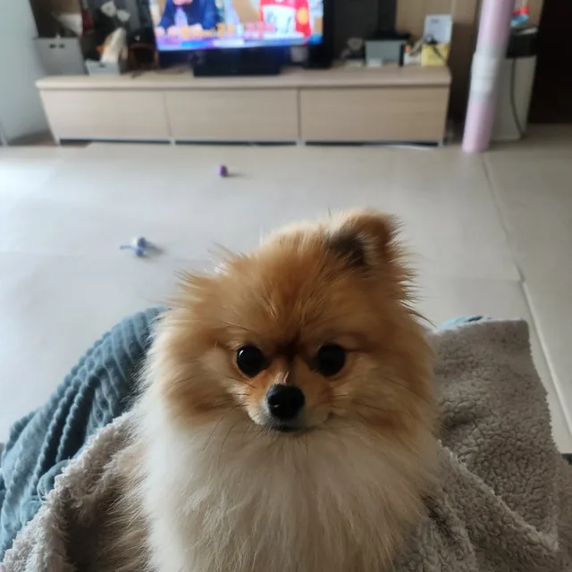 당근아쟈