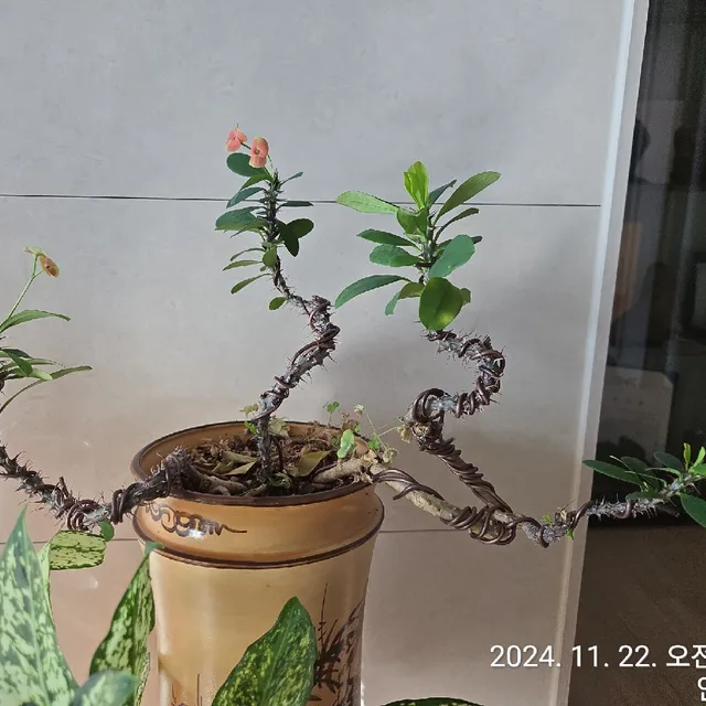 깔끔상쾌