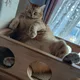 가을이