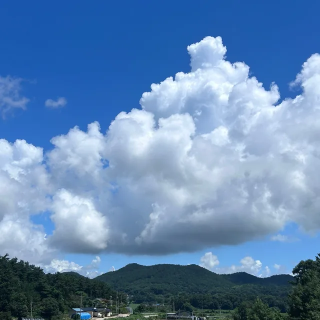 욜심히