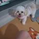두부엄마