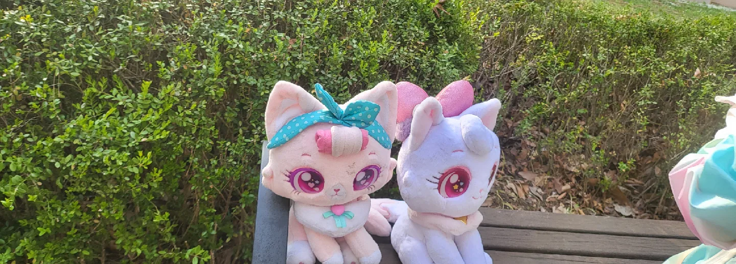 아들딸엄마