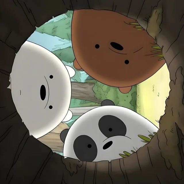 Bears
