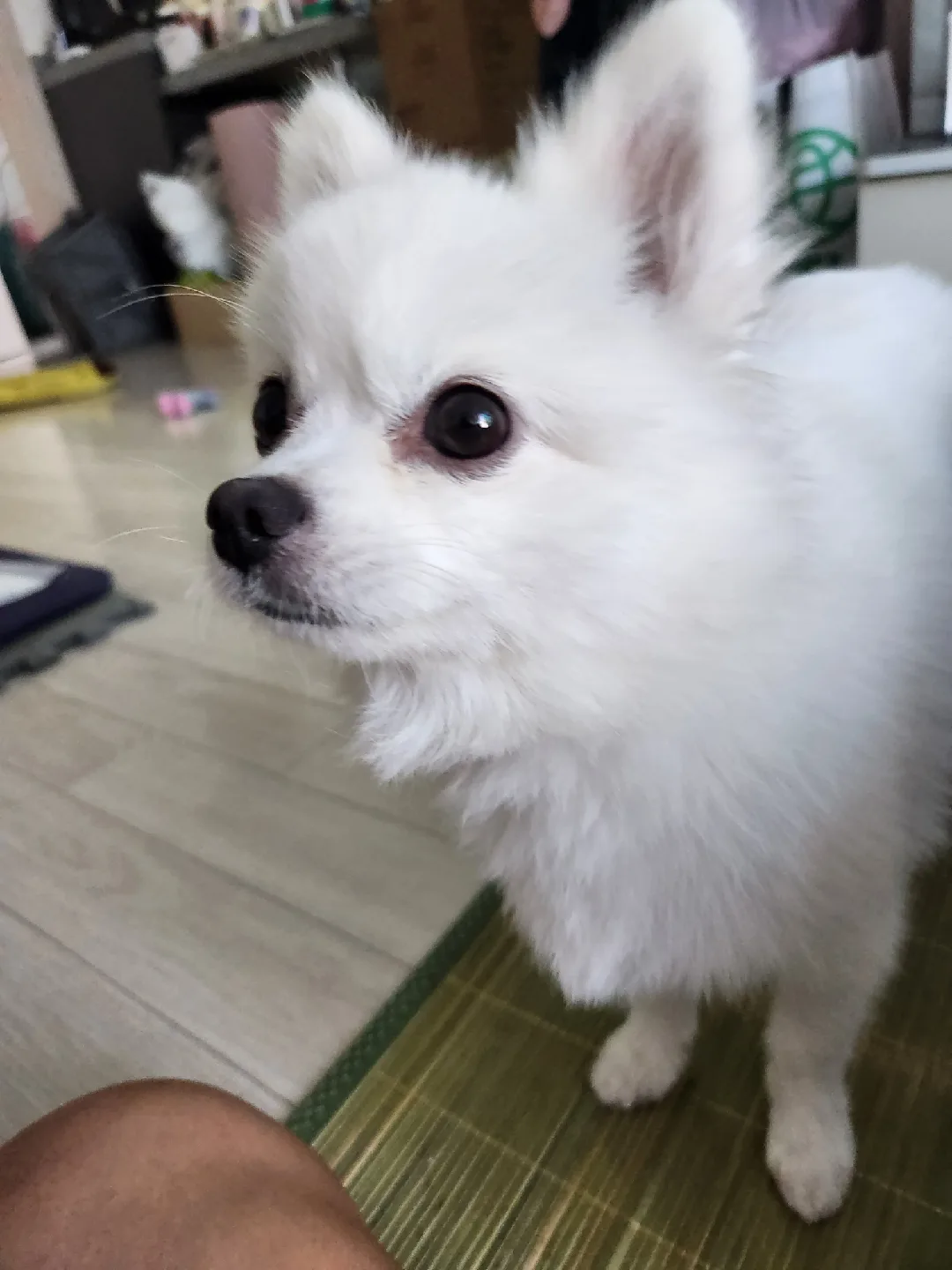 거래는클하게