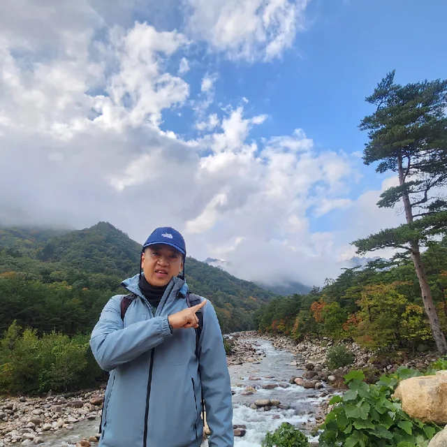 효효모범시민