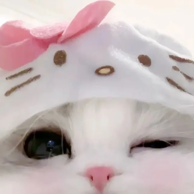 초코송이
