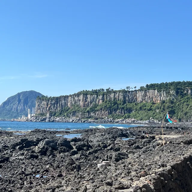 오늘도바다