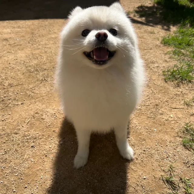 오늘도화이팅