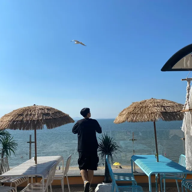 비비