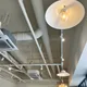 고똘이