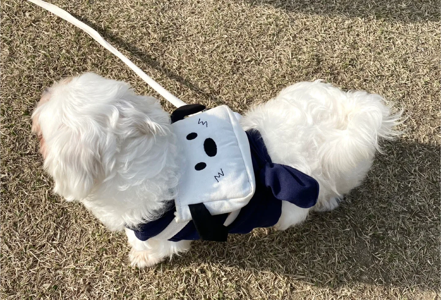 그뤠요