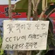 잉잉이