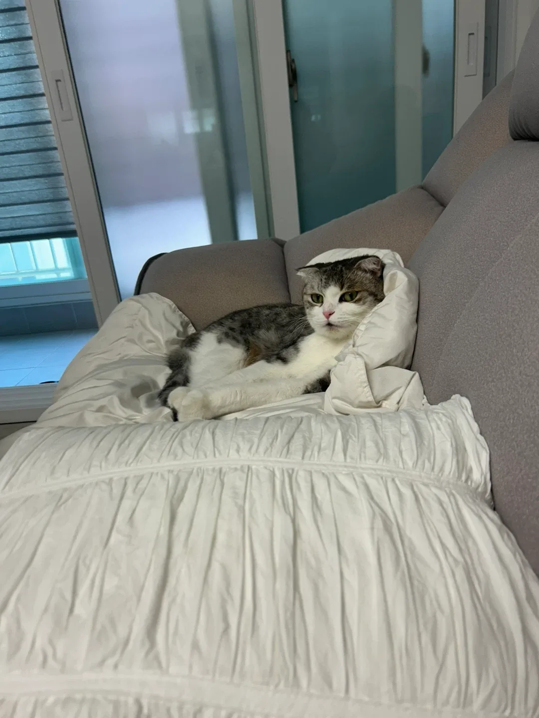 박쏭네