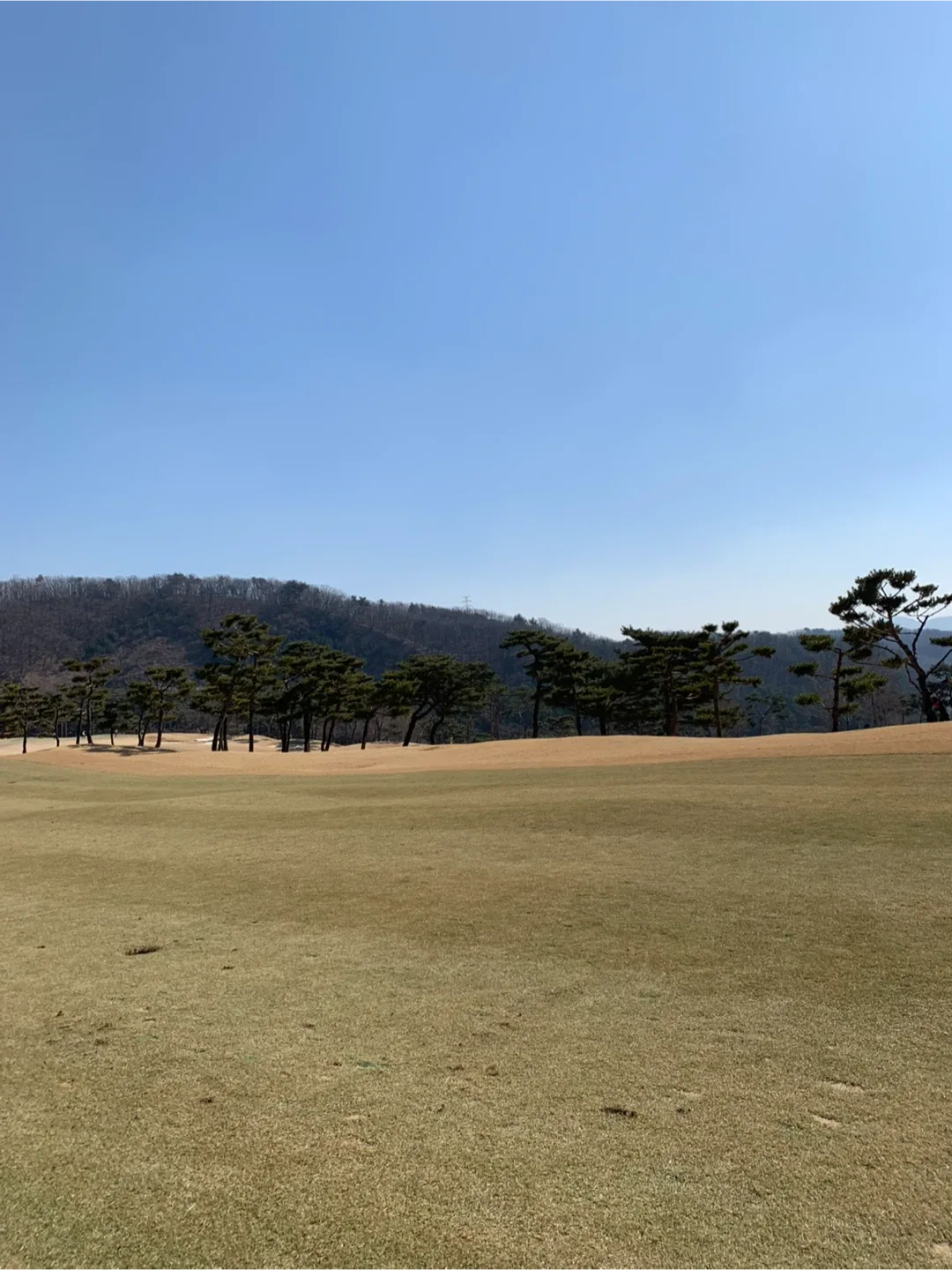즐거운월요일아침