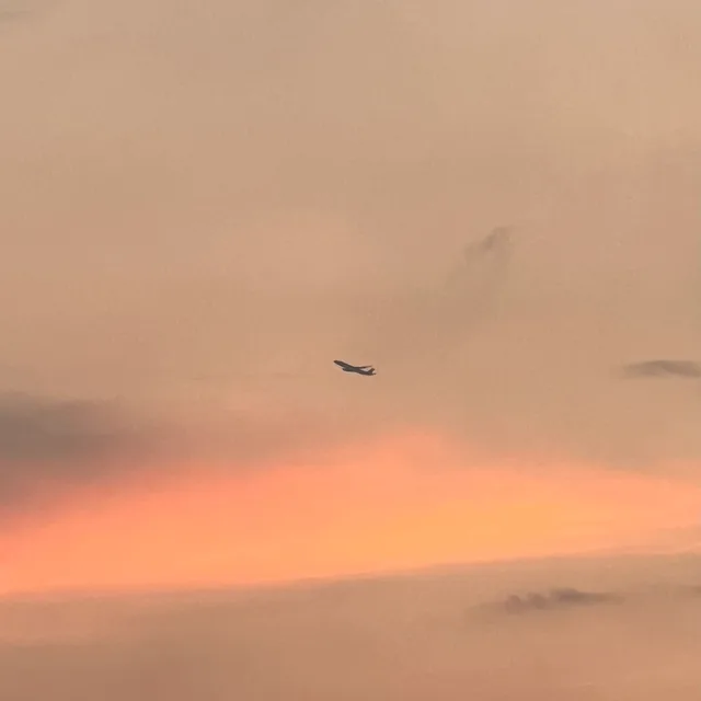 리오