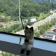 씨엔랩