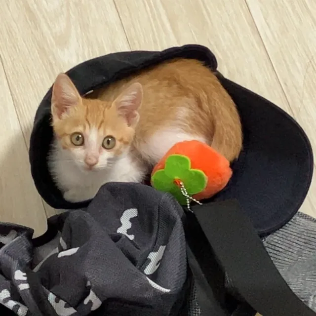 탕수육