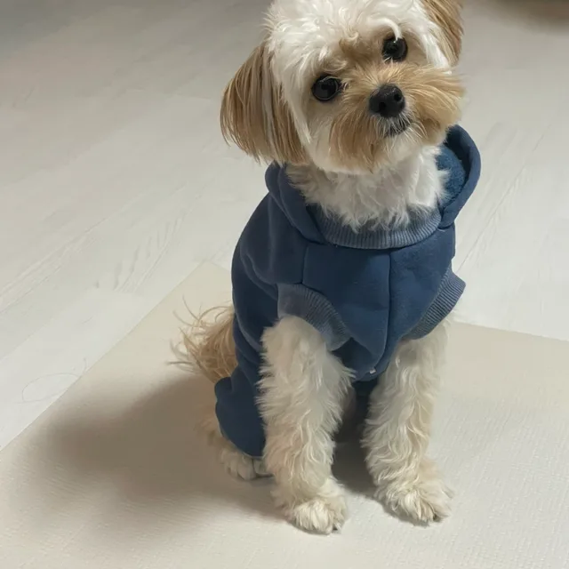 양파깡