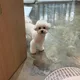 루이맘