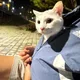복길이