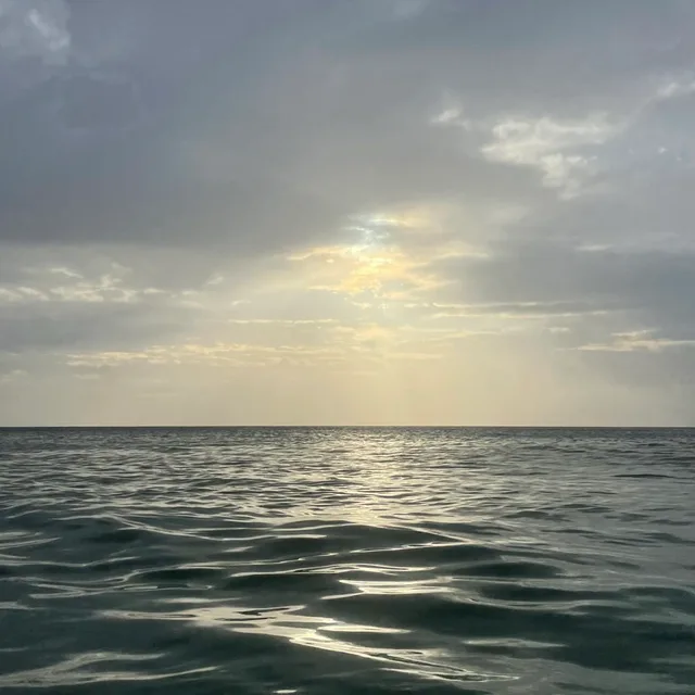 sun
