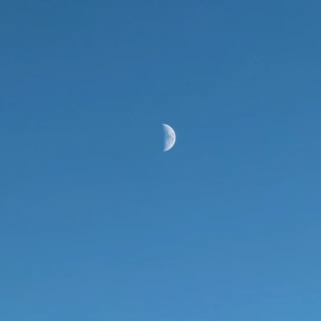 백구