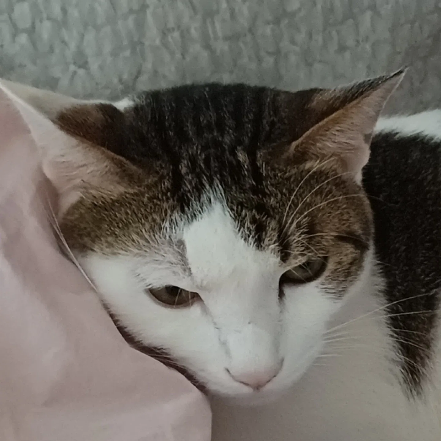 리카는사랑이야