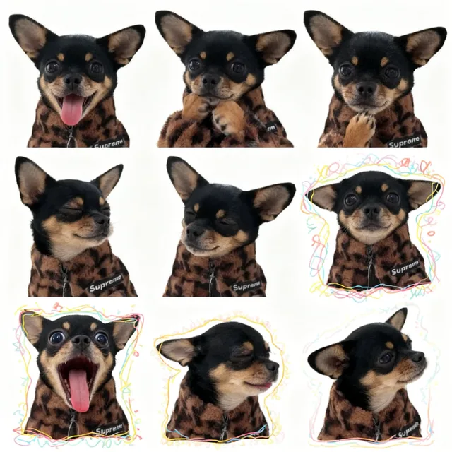 신뢰가는돼지엄마