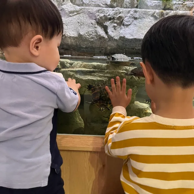 해밀