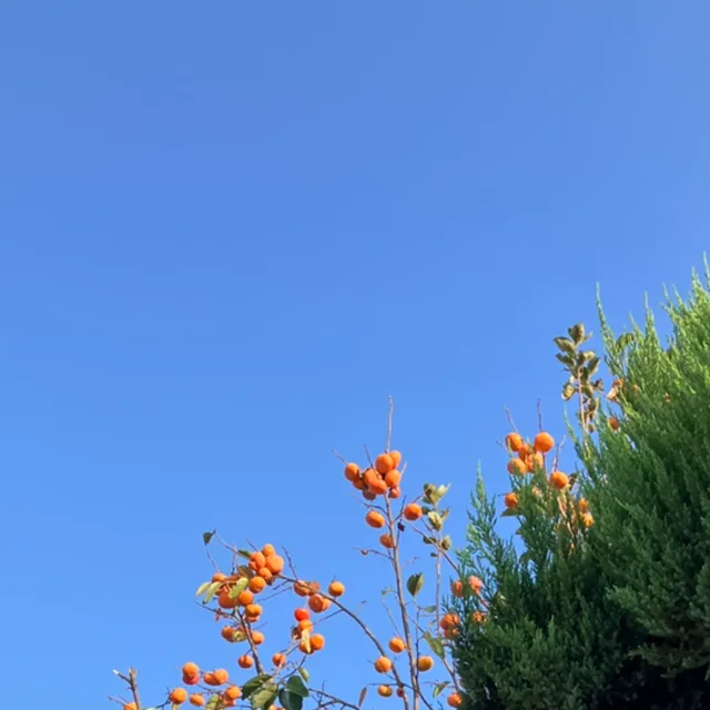 안녕