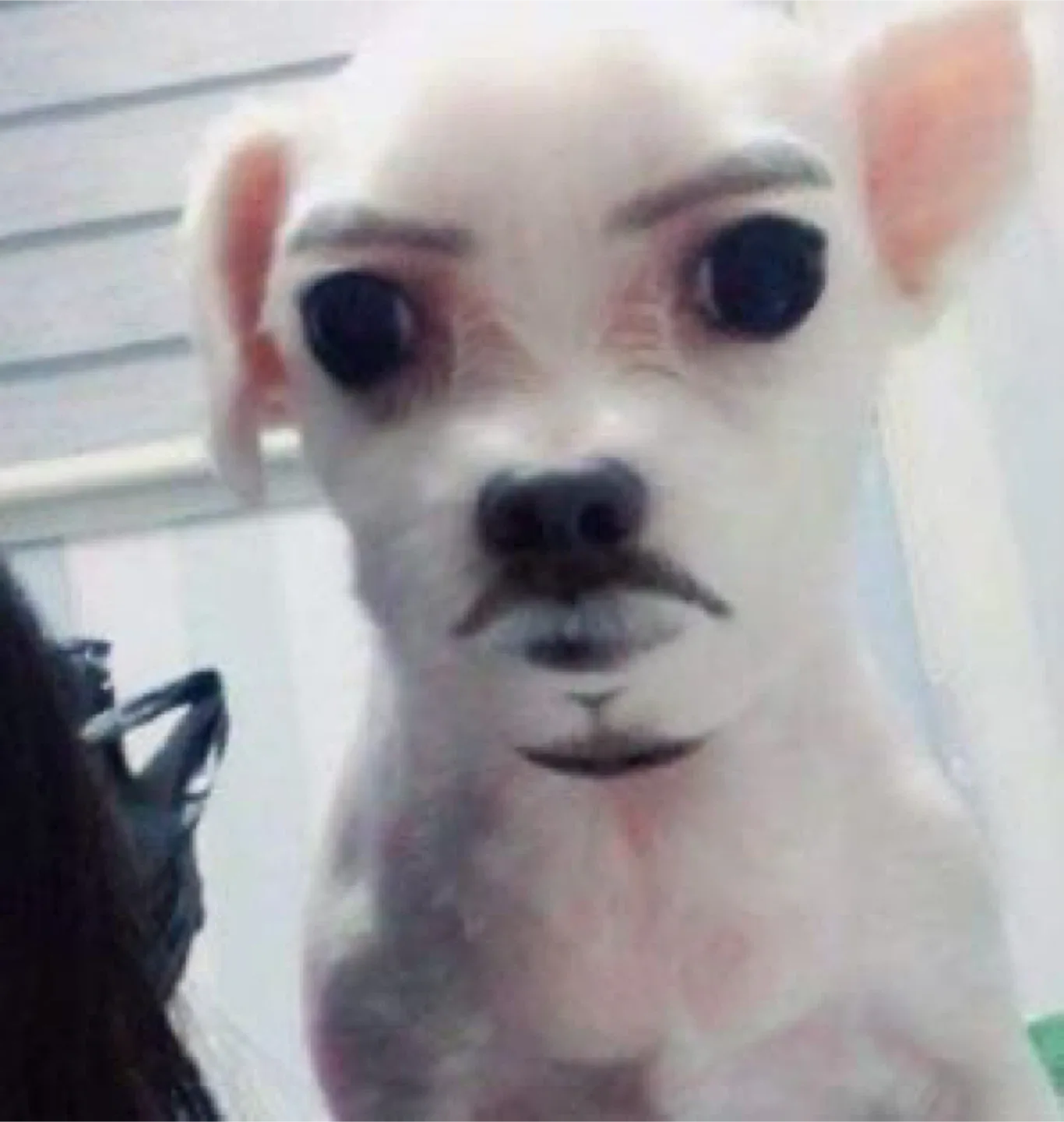 얼딸