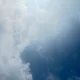 퓨릿