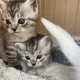 다시시작