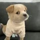 블록