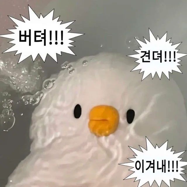 뚜마조리카
