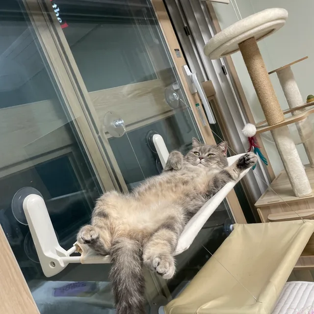 당근좋아