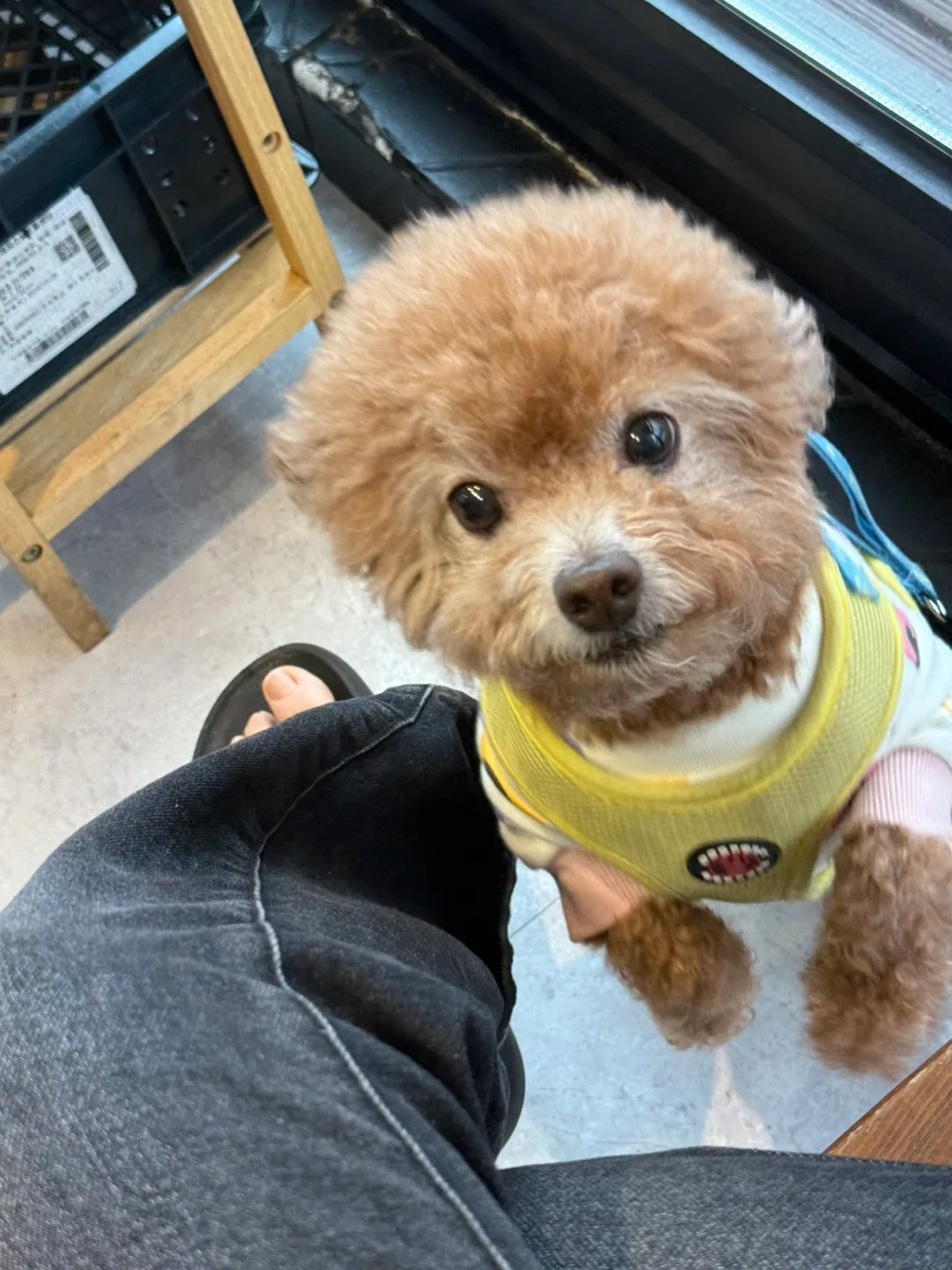 싸만모