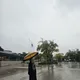 미라이