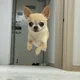 희키코모리