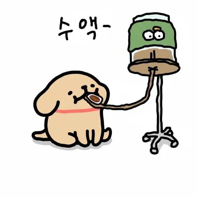 수액맞는리트리버