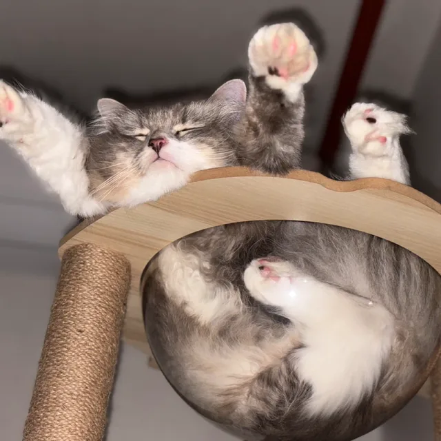 우리끼리맘